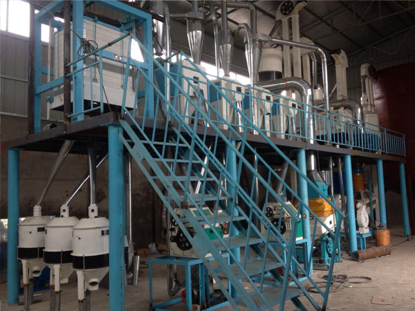 新疆60噸玉米加工(gong)設備項目安裝完成