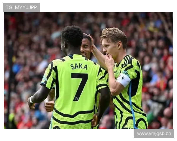 厄德高体系依赖与个人能力的战术适配差异解析 厄德高体系依赖与个人能力的战术适配差异解析