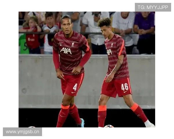 居莱尔是否属于体系球员 战术角色适配性深度分析